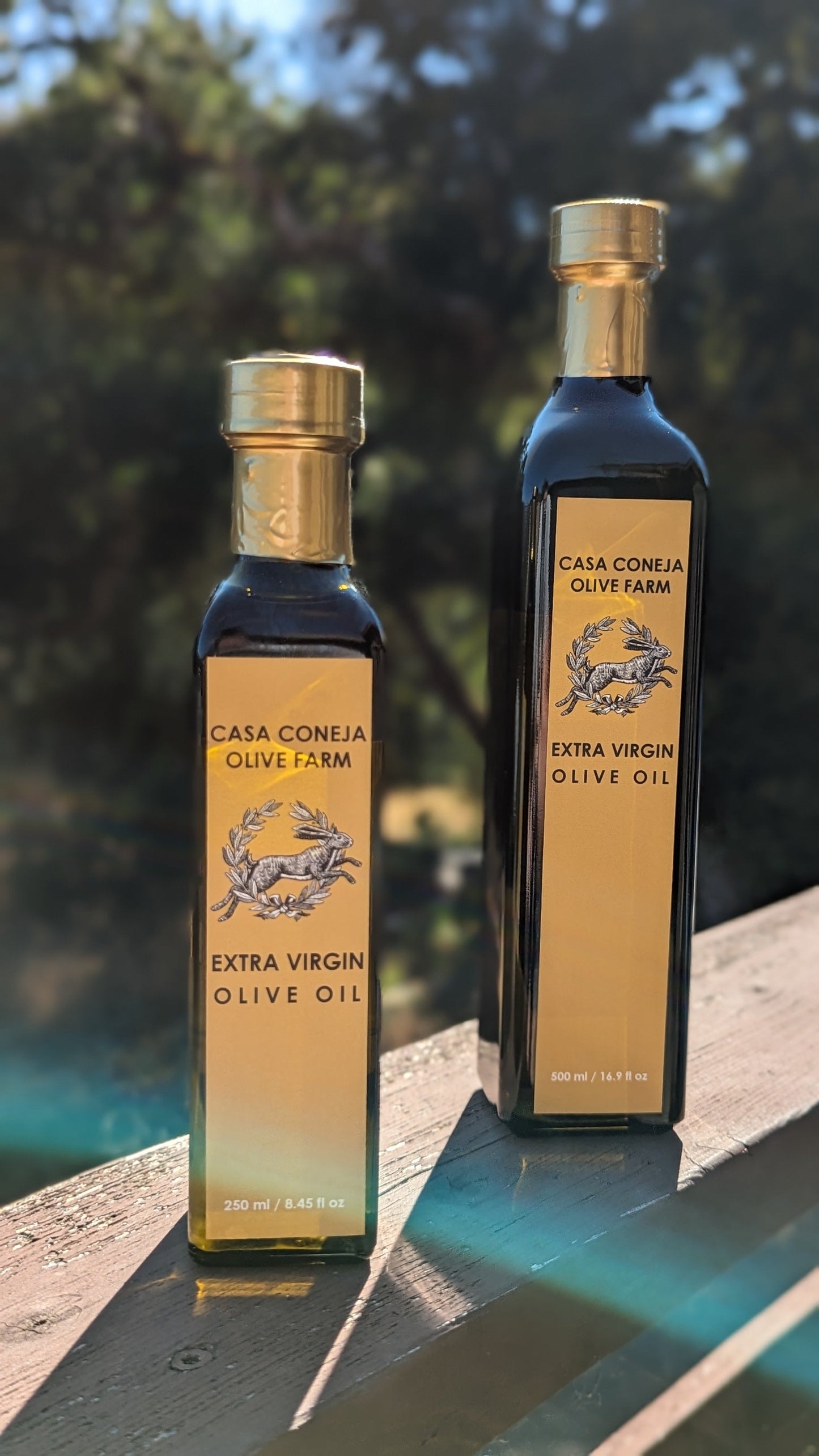 Casa Coneja Olive Oil