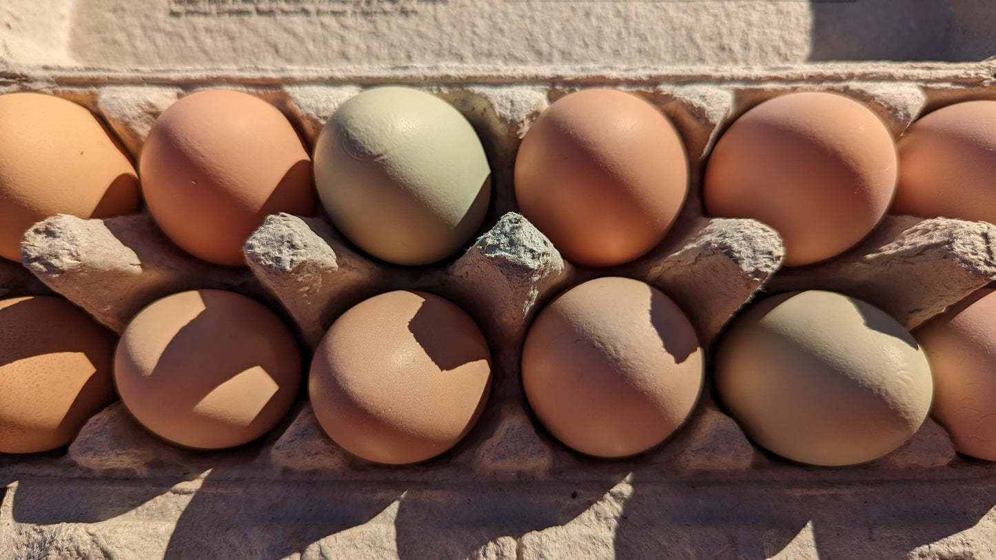Farm Fresh Eggs