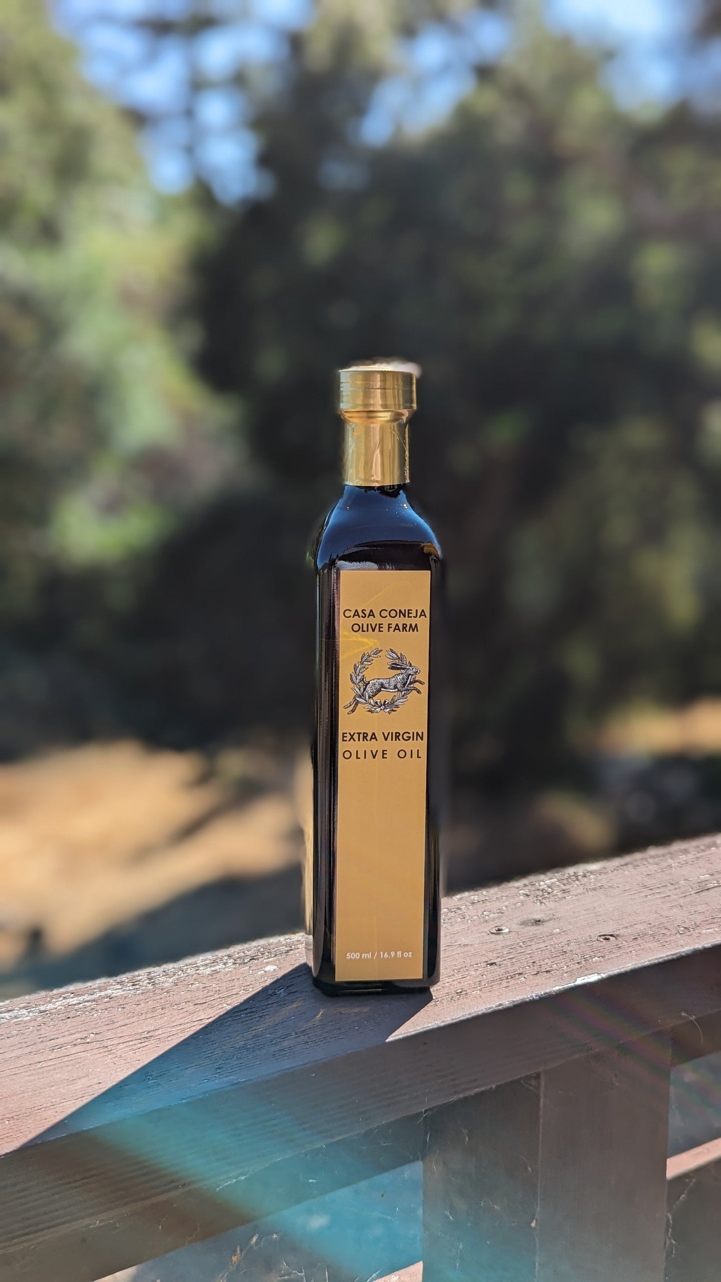 Casa Coneja Olive Oil