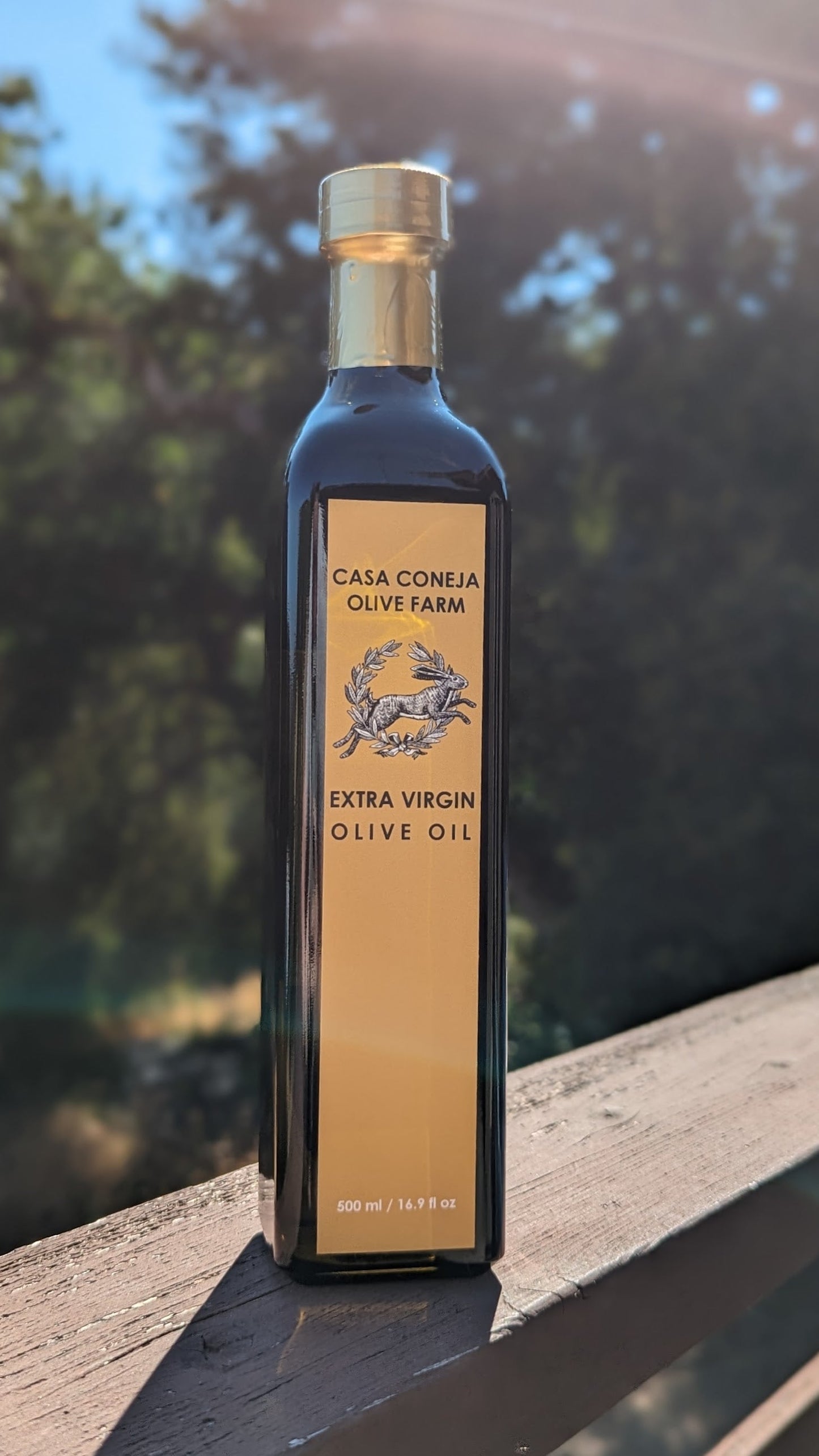 Casa Coneja Olive Oil