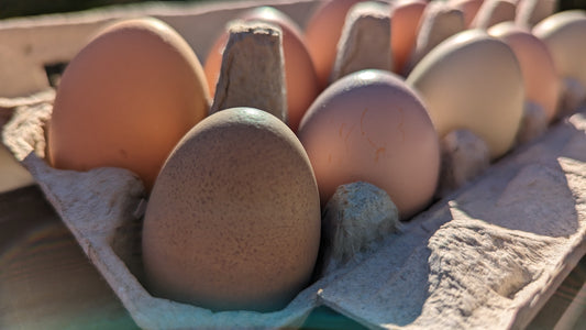 Farm Fresh Eggs